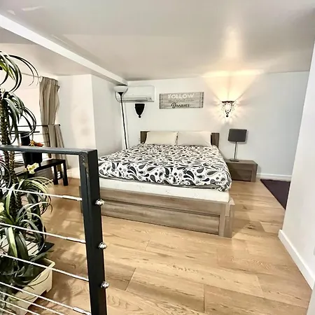 Duplex Patio Wilson Appartamento Nizza