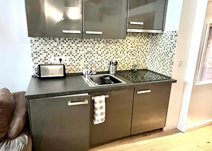 Appartamento Duplex Patio Wilson Nizza